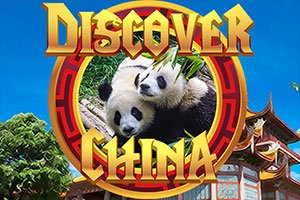 Discover China Profile Picture