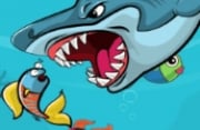 Hungry Shark Profile Picture