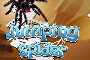 Jumping Spider Profile Picture